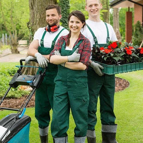services-image-5.jpg